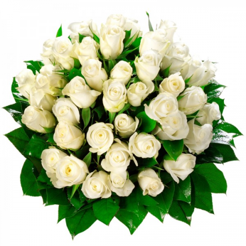 Букет из белых роз "Мелодия"  с доставкой по Махачкале